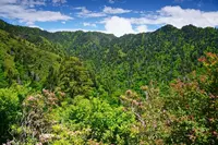 Scenic photo of the Smoky Mountains from a cabin in Gatlinburg TN
