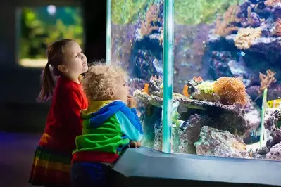 small children looking at fish in an aquarium