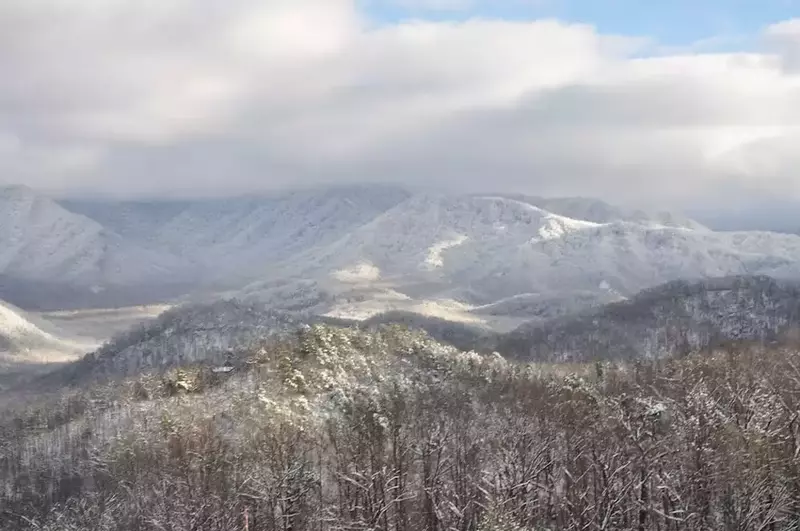 Snowy day in the Great Smoky Mountains