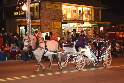 Horse and carriage in the Gatlinburg Christmas parade