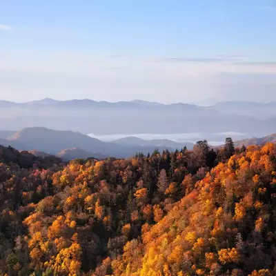 Smoky_Mountains_Autumn_Medium