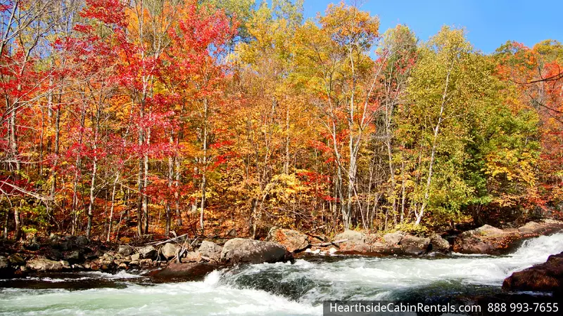 SMOKY BEAR'S RETREAT