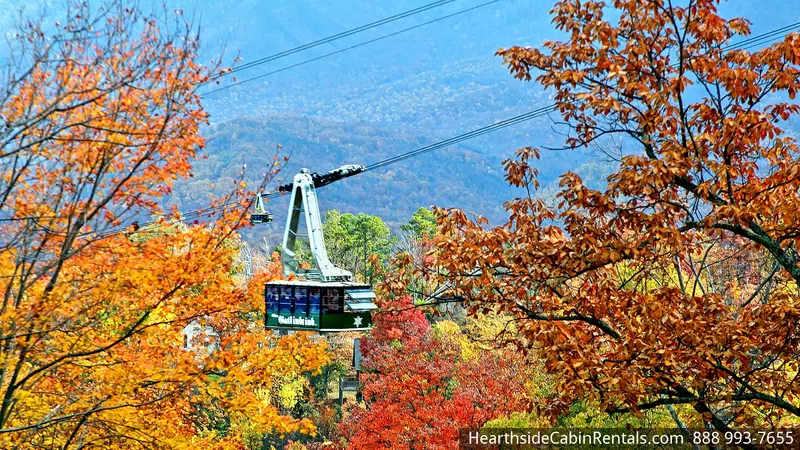 BEARADISE OBER SKI MOUNTAIN