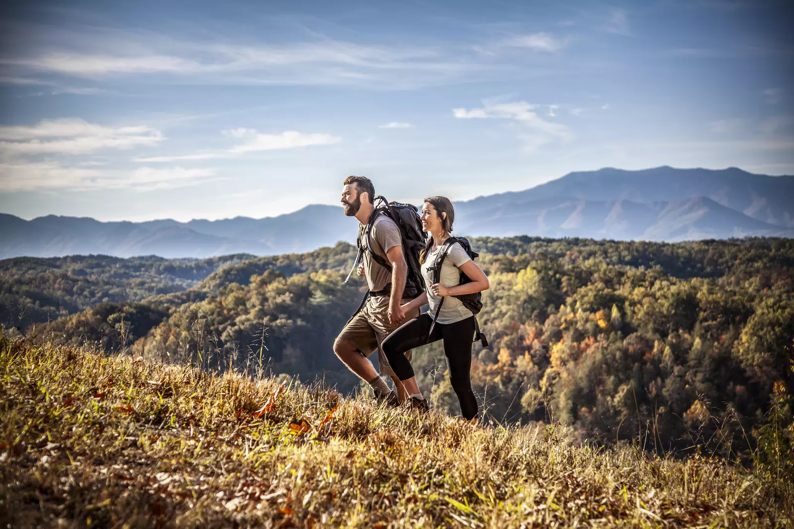 MOUNT LECONTE VIEW LODGE