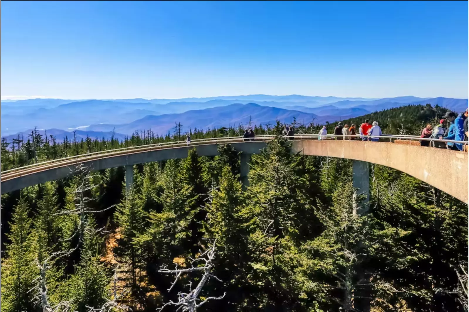 YONDER MOUNTAIN LODGE