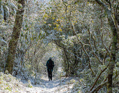 winter activities in Gatlinburg