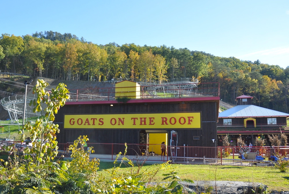 Goats on the Roof building and mountain coaster