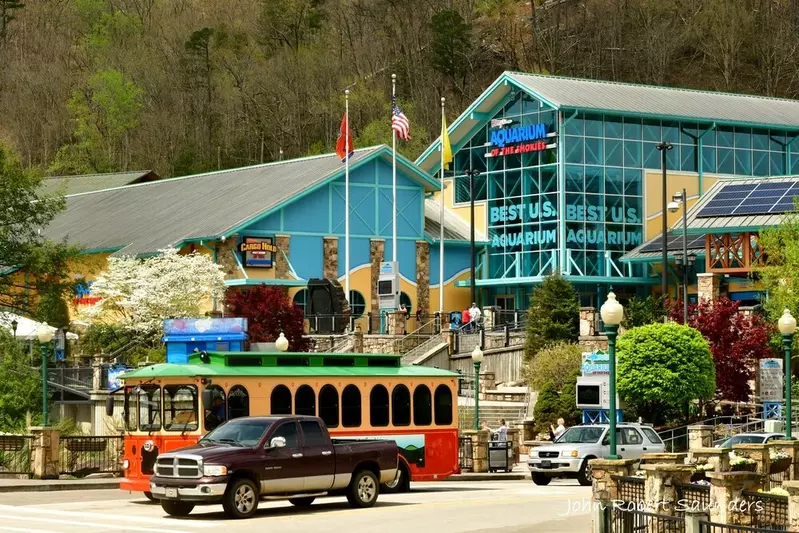 Ripley's Aquarium in Gatlinburg