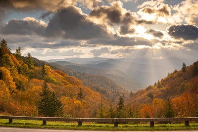 fall view from Newfound Gap Road